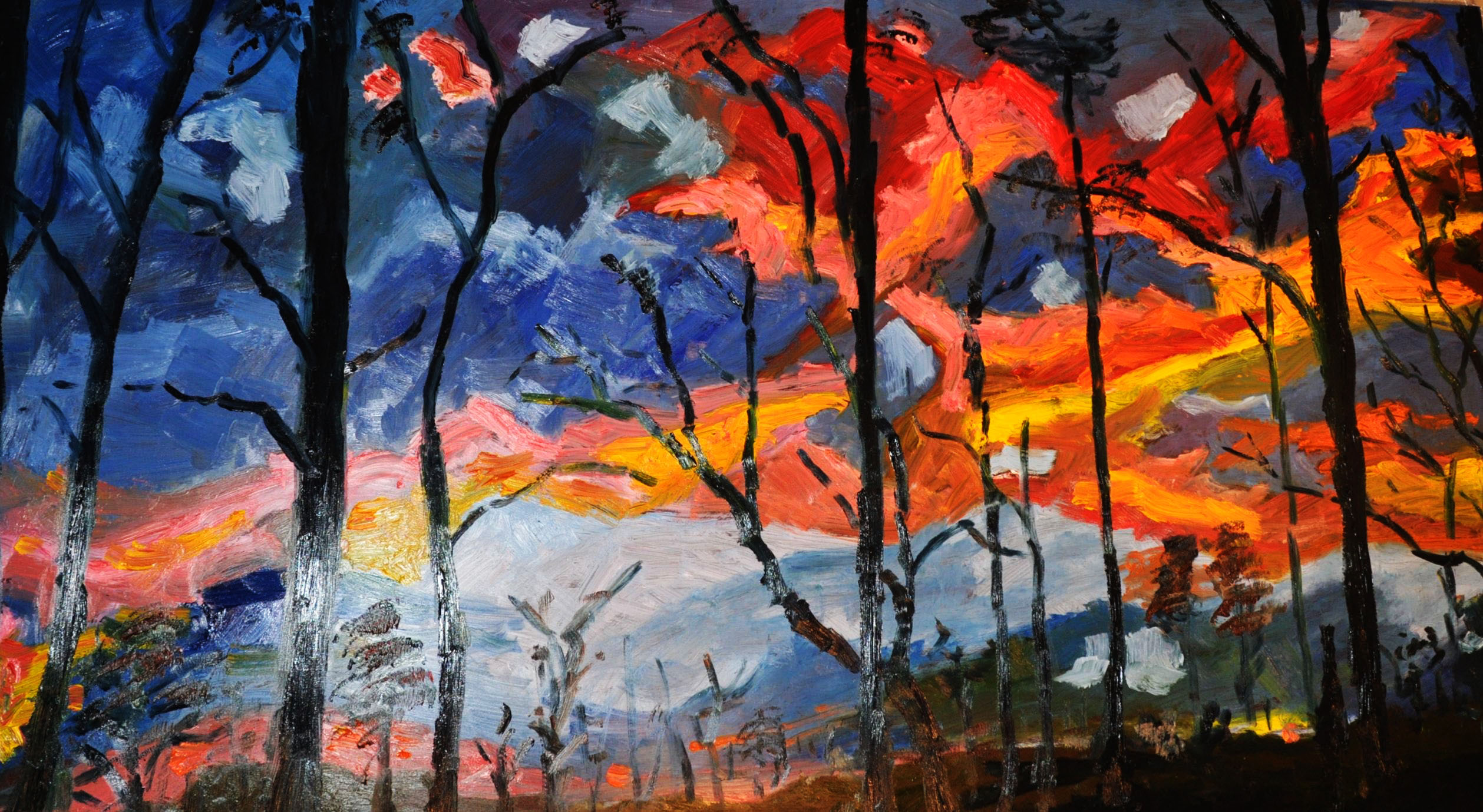 Carolina twilight 29.5x53