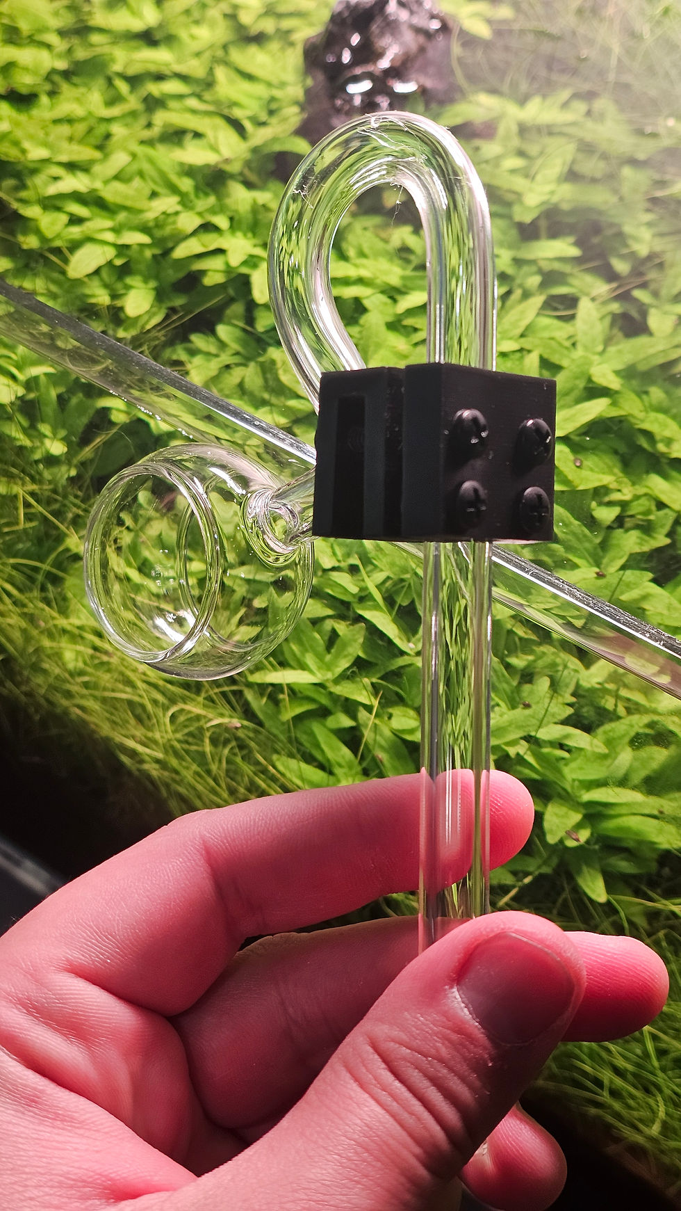 Optional Lily Pipe Holders