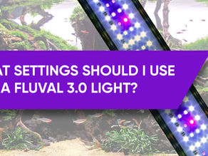 What settings should I use for a Fluval 3.0 aquarium light?