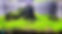 Wide Edited.jpg