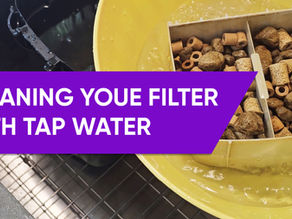 Filter Cleaning Fears? What Science Says About Cleaning your Filter With Chlorinated Tap Water