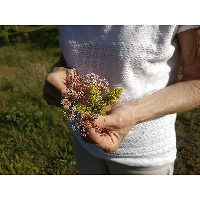 Good morning🌍.jpg