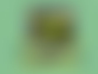 Colega artesã, faz como o sapinho