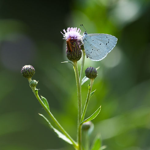 190803_037.jpg