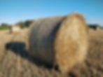 Clear blue skies and a field with round bales.