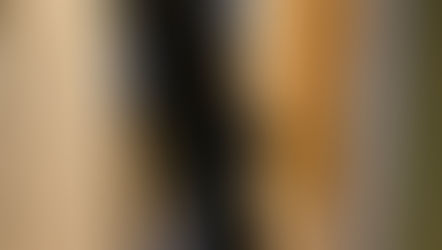 CHAT Responds to COVID-19 Pandemic