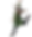 quem somos (7).png