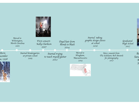 Timeline
