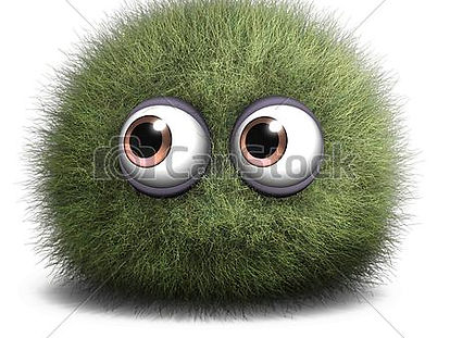 Mold Pic.jpg