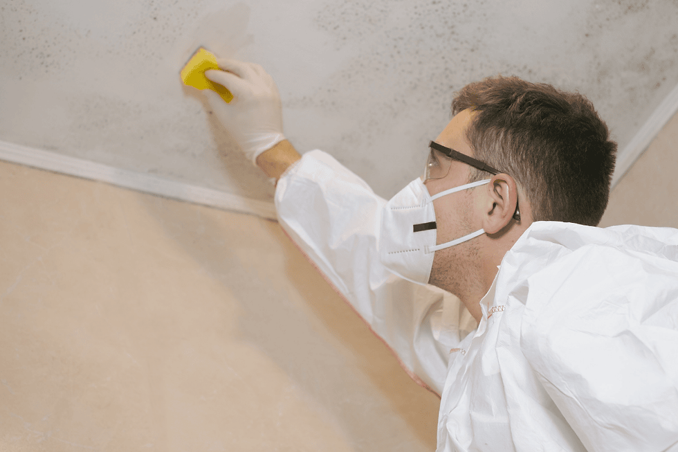 Painting the ceiling with Sponge finishing for interior painting
