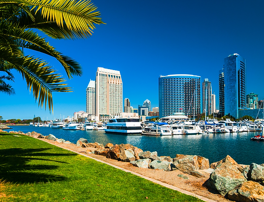 Ground-level view of a marina and downtown commercial, condominium, and office buildings in San Diego, California.