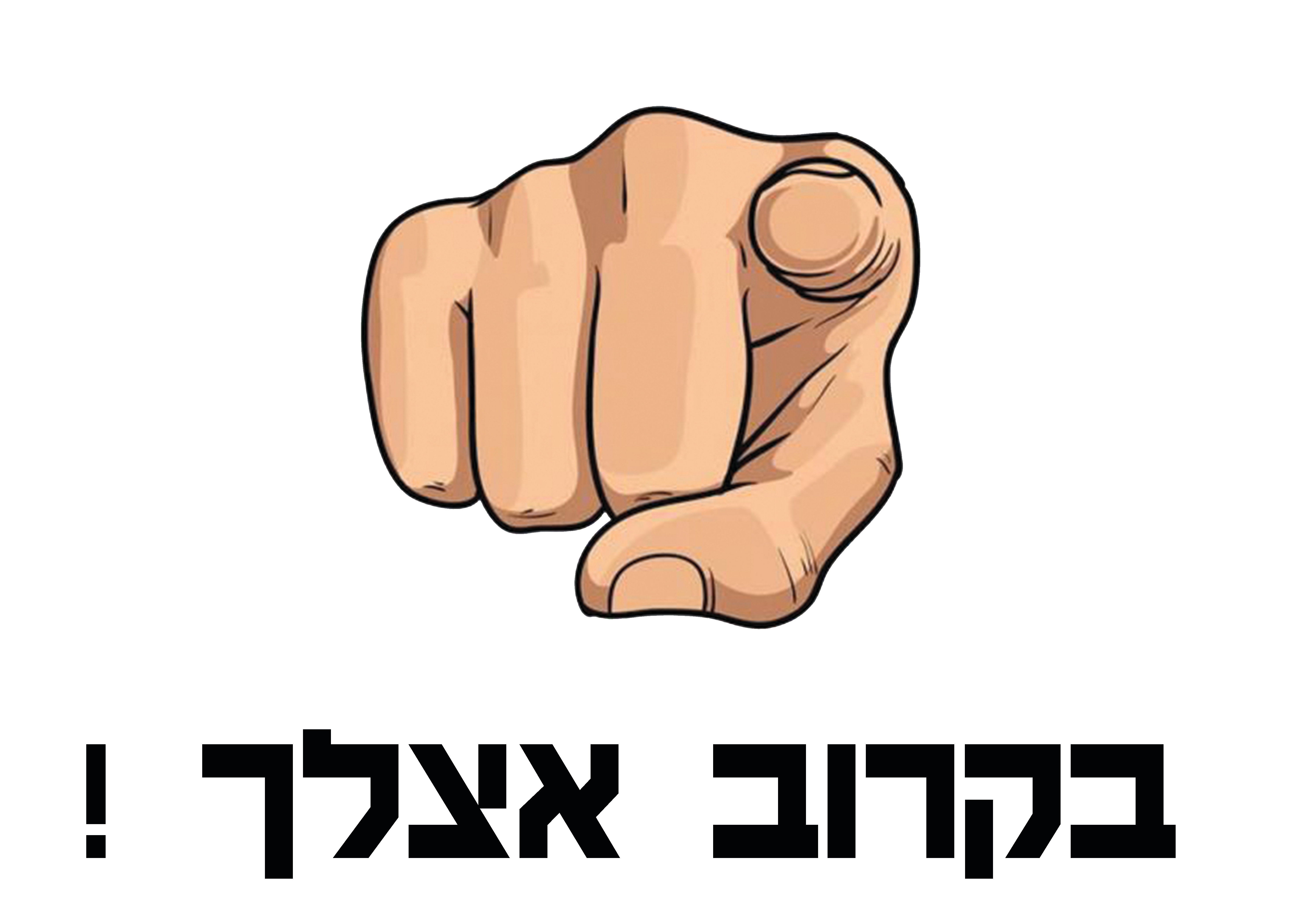 81