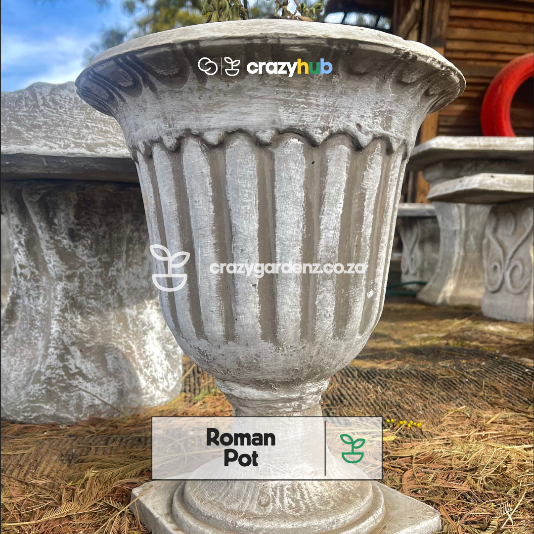 Roman Pot