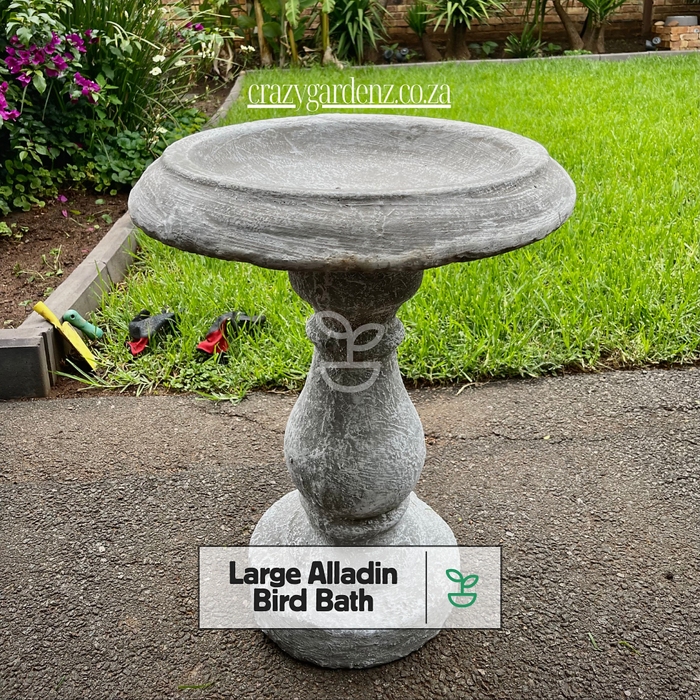 Alladin Bird Bath