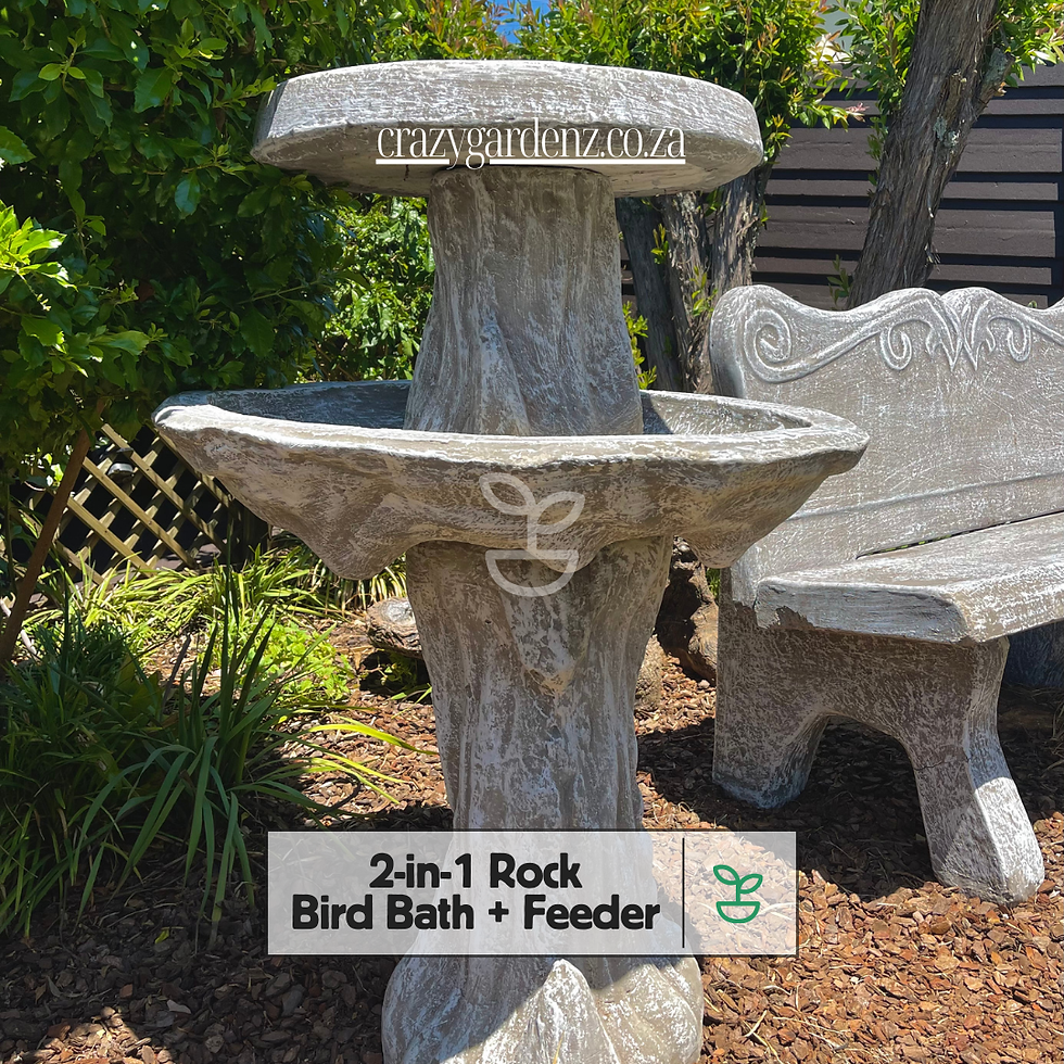 Thumbnail: 2-in-1 Bird Bath (with feeder)