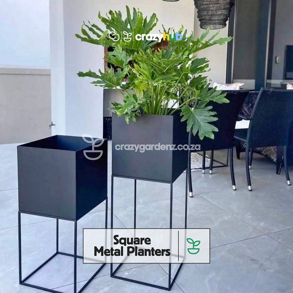Thumbnail: Square Steel Planters