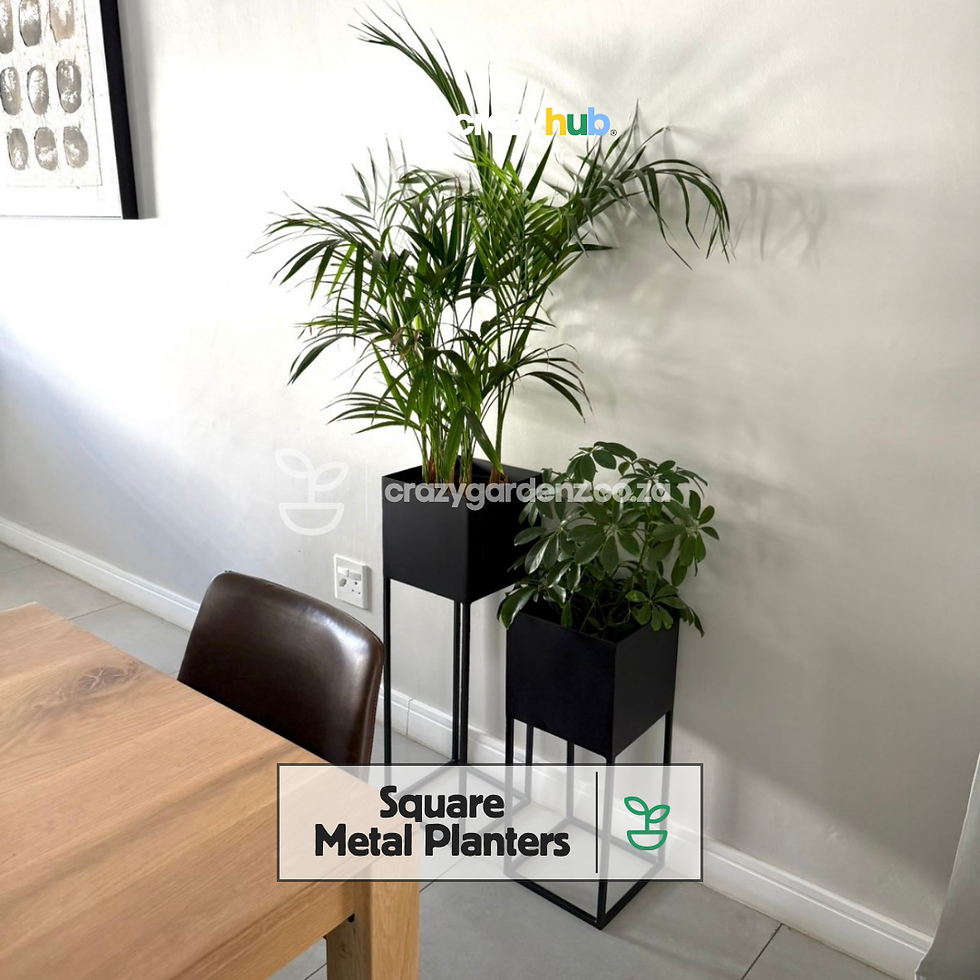 Thumbnail: Square Steel Planters