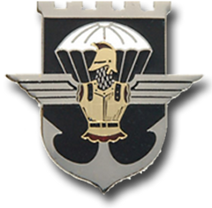 amicaledu17régimentdegénieparachutiste