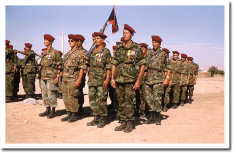 amicaledu17régimentdegénieparachutiste