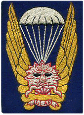 amicaledu17régimentdegénieparachutiste