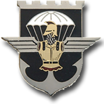 amicaledu17régimentdegénieparachutiste