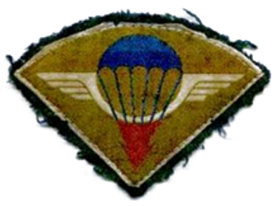 amicaledu17régimentdegénieparachutiste