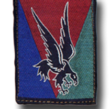 amicaledu17régimentdegénieparachutiste