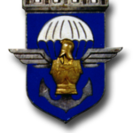 amicaledu17régimentdegénieparachutiste