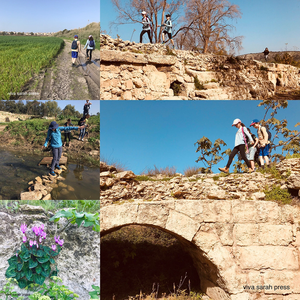 Beit Hanania to Jisr az-Zarka, Jan 2019