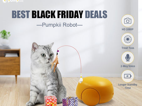 Best Black Friday Deals