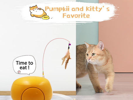 What Kind of Treats does Pumpkii Like?