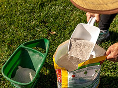 when-to-apply-spring-fertilizer-2152974_01-84d78e89fd714fe39e6c3bfc58ece5f6.jpeg