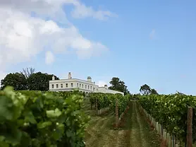 Lympstone Manor Vineyard