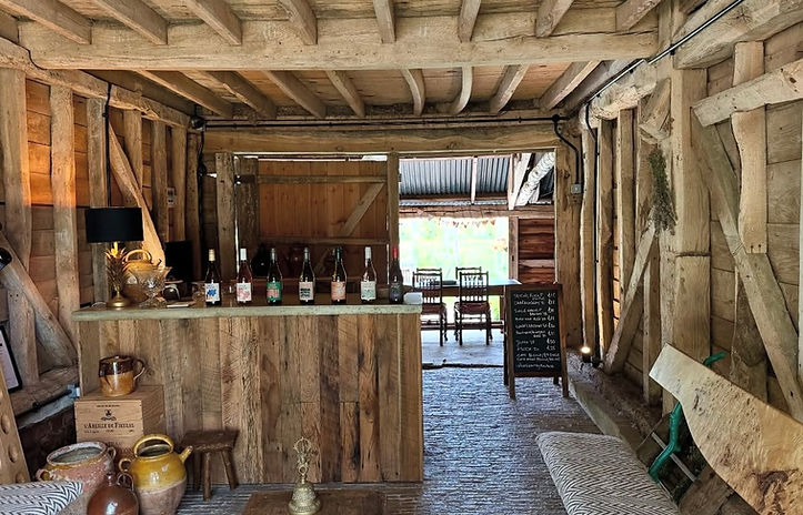 vineyard main image