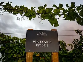Blabers Hall Wine Estate