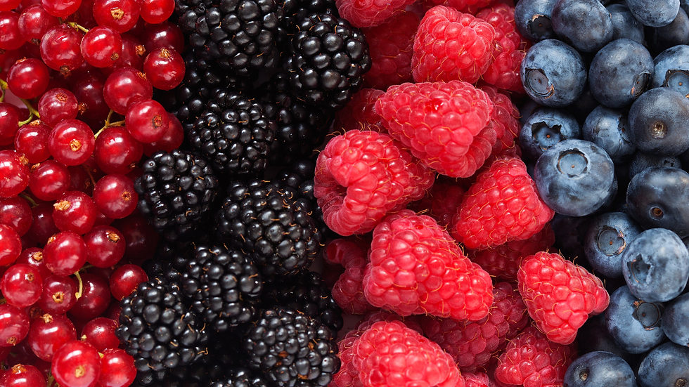 immune boosting food berries, vitamin c fruits, blueberries, strawberries, raspberries