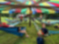 hammock photo for website.jpg