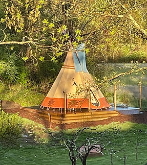 An image of our tipi venue on the Gilded Tomato farmstead