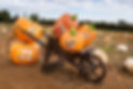 Overstone Pumpkins (31 of 61).JPG