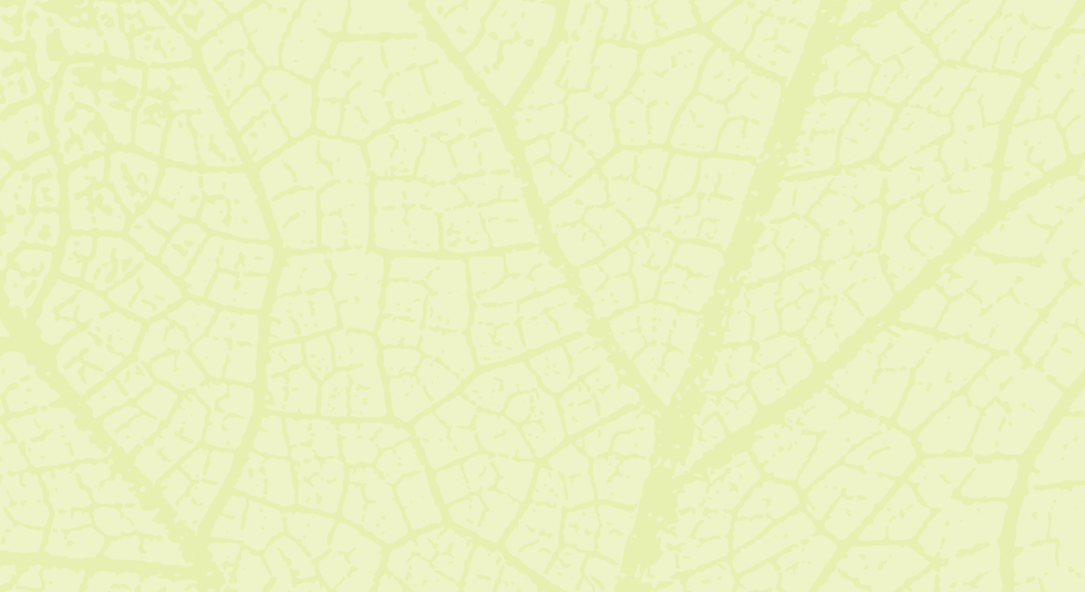 Group 1167 (1) 1 (1) (1).png