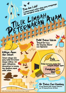 Tilik Limbah Pertenakan Ayam