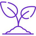 plant.png