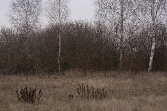 50km from12.jpg