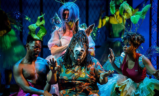 C211_Midsummer_Folger_Photo-by-B Diliberto_sm_edited.jpg