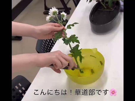 華道部