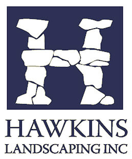 Hawkins_logo9.jpg