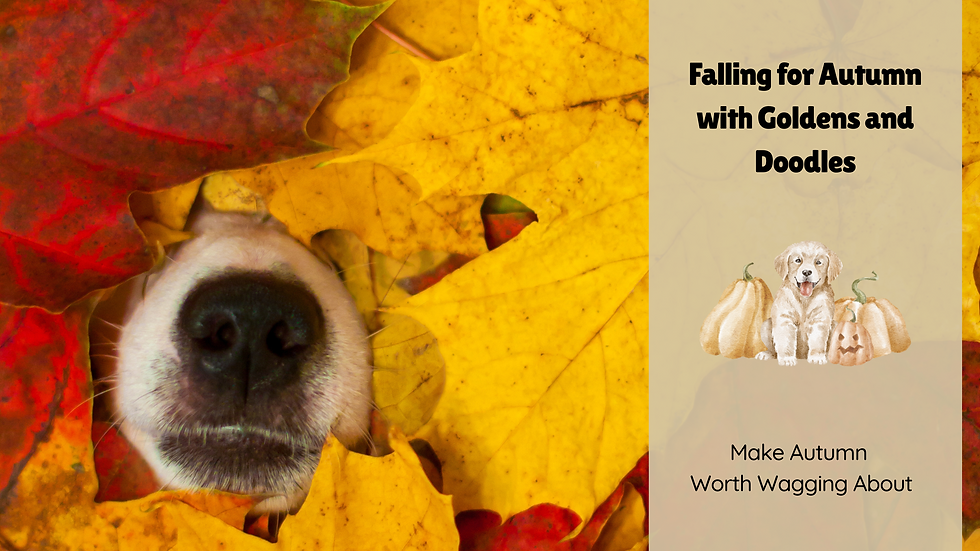 Dog's nose peeks through vibrant autumn leaves. Text: "Falling for Autumn with Goldens and Doodles. Make Autumn Worth Wagging About."