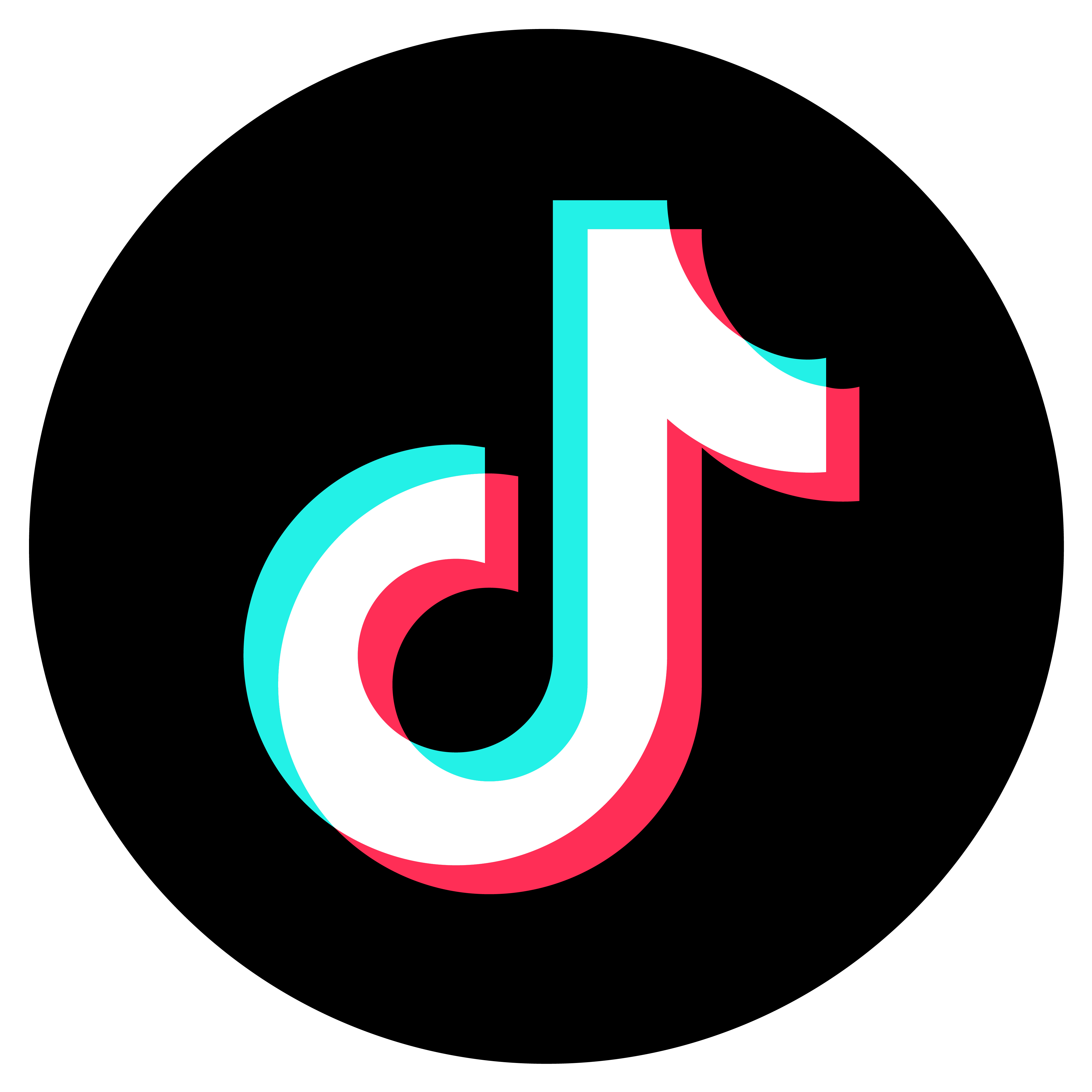 vecteezy_tiktok-png-icon_16716450.png