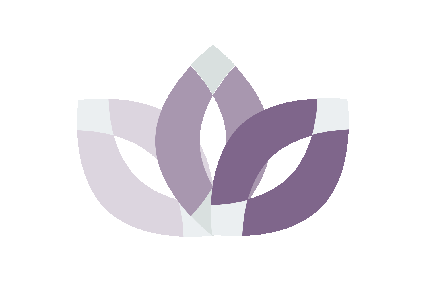 Brookfield Chiropractor