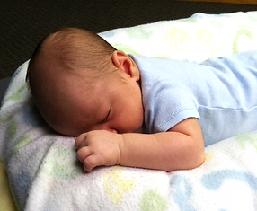 toddle chiropractor